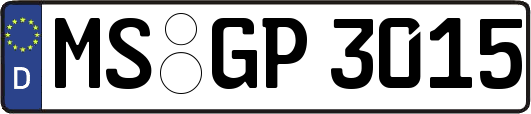 MS-GP3015