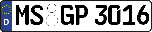 MS-GP3016