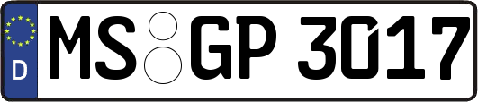 MS-GP3017