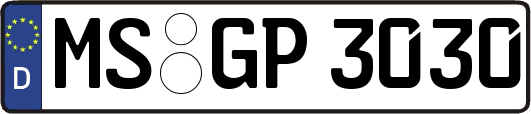 MS-GP3030