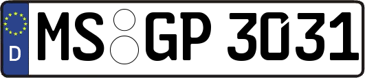 MS-GP3031