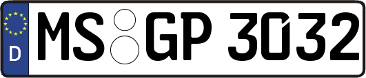 MS-GP3032