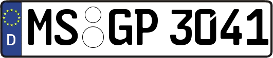 MS-GP3041