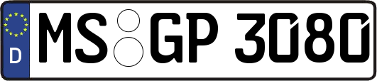 MS-GP3080
