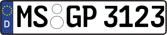 MS-GP3123