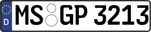 MS-GP3213