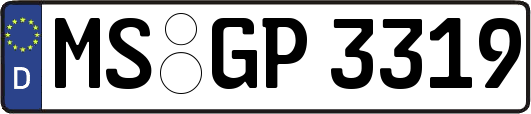MS-GP3319