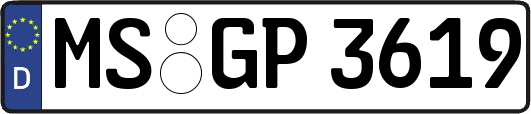 MS-GP3619