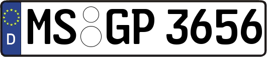 MS-GP3656