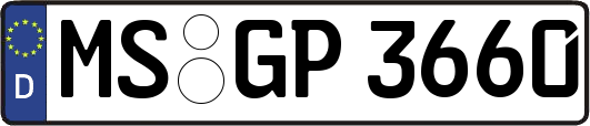 MS-GP3660
