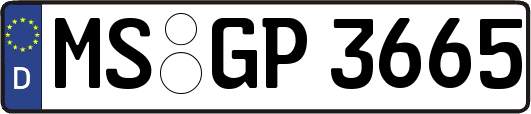 MS-GP3665