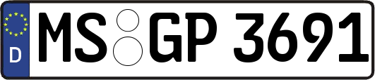 MS-GP3691