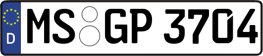 MS-GP3704