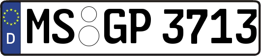 MS-GP3713