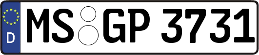 MS-GP3731