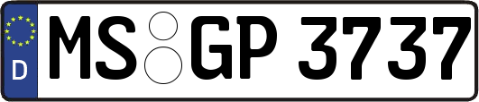 MS-GP3737