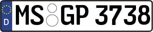 MS-GP3738