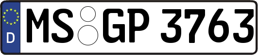 MS-GP3763