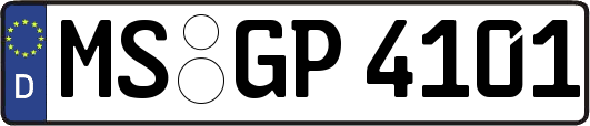 MS-GP4101