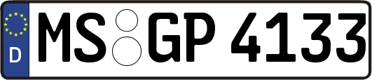 MS-GP4133