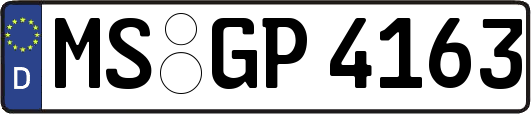 MS-GP4163