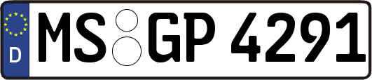 MS-GP4291