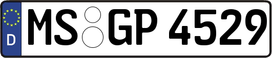 MS-GP4529