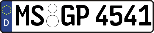 MS-GP4541
