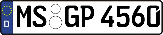 MS-GP4560