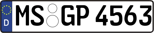 MS-GP4563