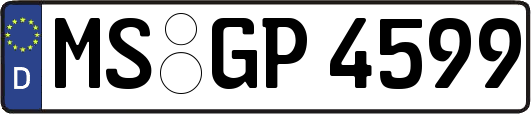 MS-GP4599