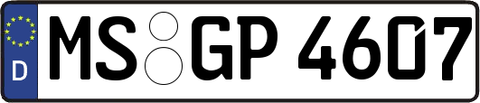 MS-GP4607