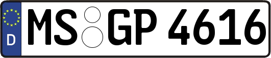 MS-GP4616