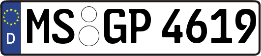 MS-GP4619