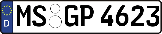 MS-GP4623