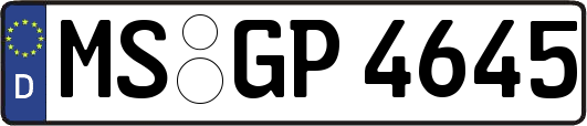 MS-GP4645