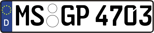 MS-GP4703