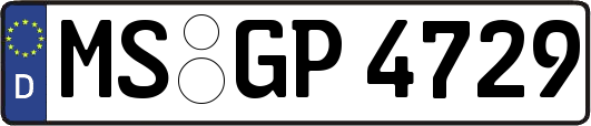 MS-GP4729