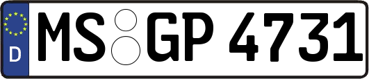 MS-GP4731