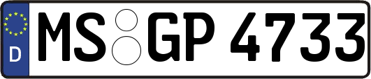 MS-GP4733