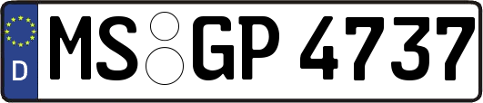 MS-GP4737