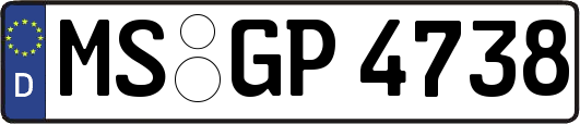 MS-GP4738