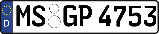 MS-GP4753
