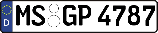 MS-GP4787