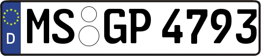 MS-GP4793