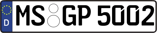 MS-GP5002