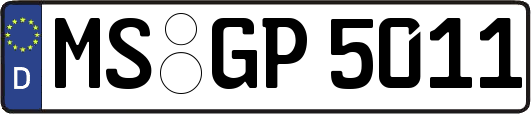 MS-GP5011