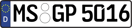 MS-GP5016