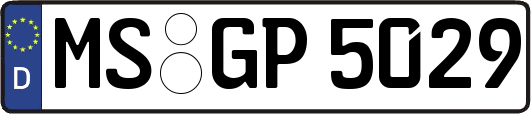 MS-GP5029