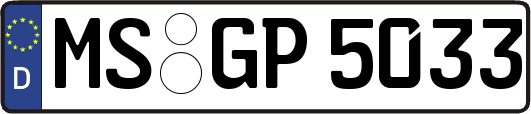 MS-GP5033